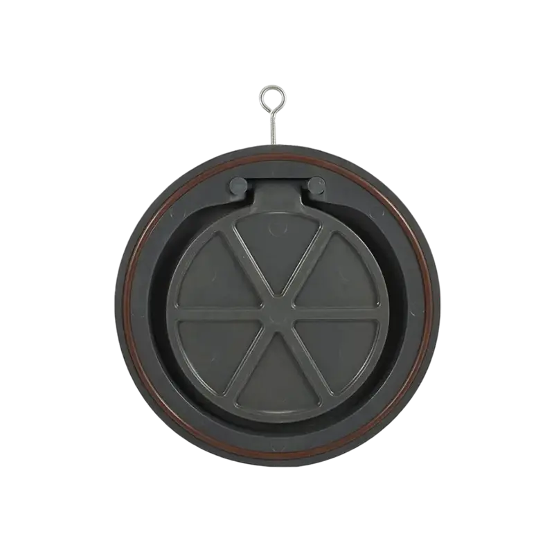 Clapet anti-retour de plaquette